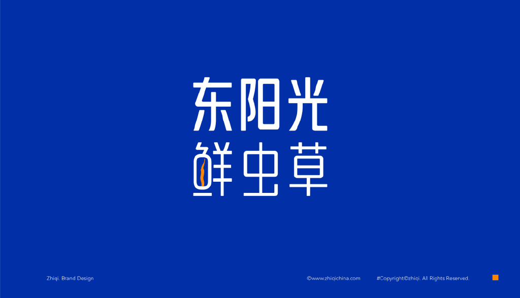 东阳光鲜虫草×智旗 | 全新品牌设计_企业_消费者_战略