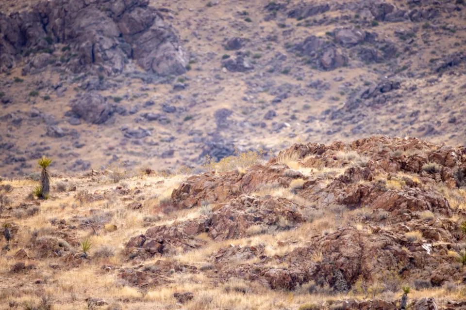 98英寸大屏电视降至1.3万,康佳精准打击小米TCL创维?-家电圈官网