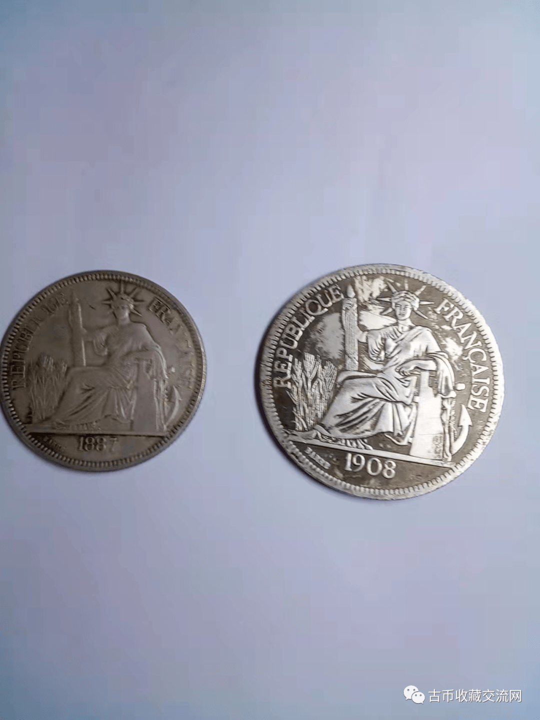 坐洋币8月最新交易价格72万一枚起步！_搜狐网