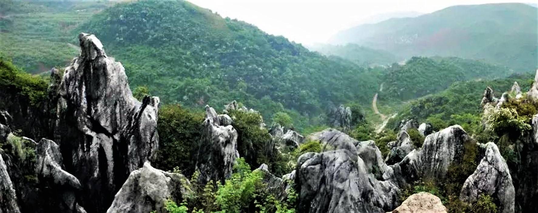 很多人不知道，湖南这座“林中之城”，竟还藏着媲美黄山、石林的“峰林”奇观