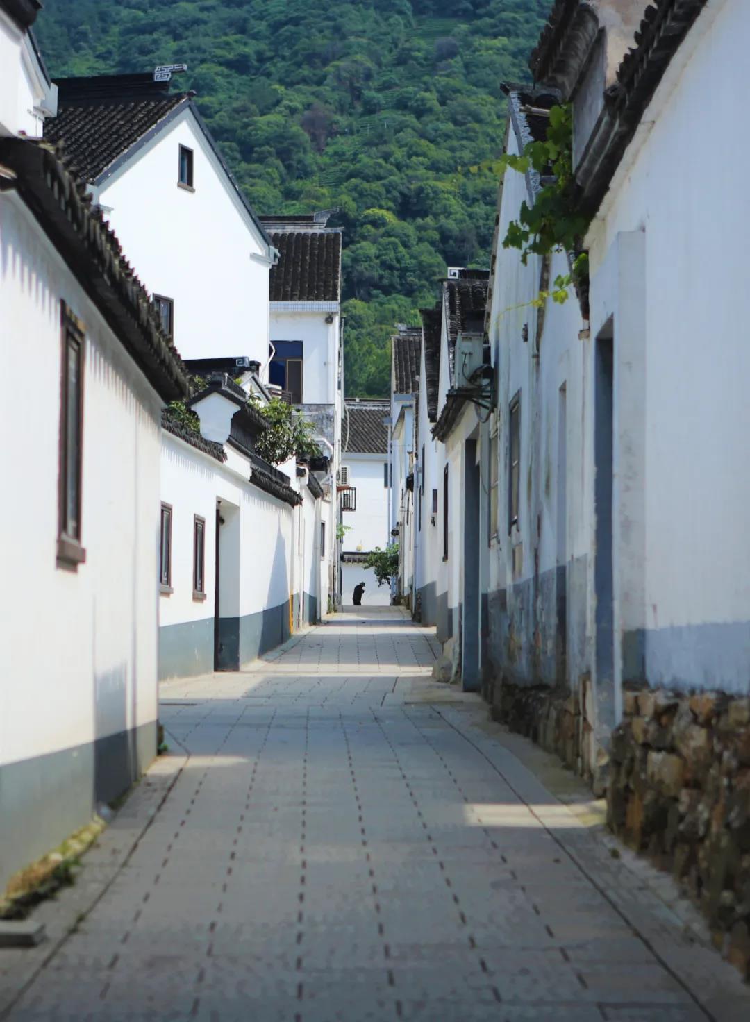 苏州新区树山巷弄幽处 寻一缕清风_小巷_温情_通安镇