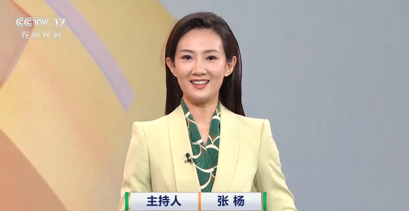 从就业经历来看,这位名叫张杨的年轻面孔来自于地方