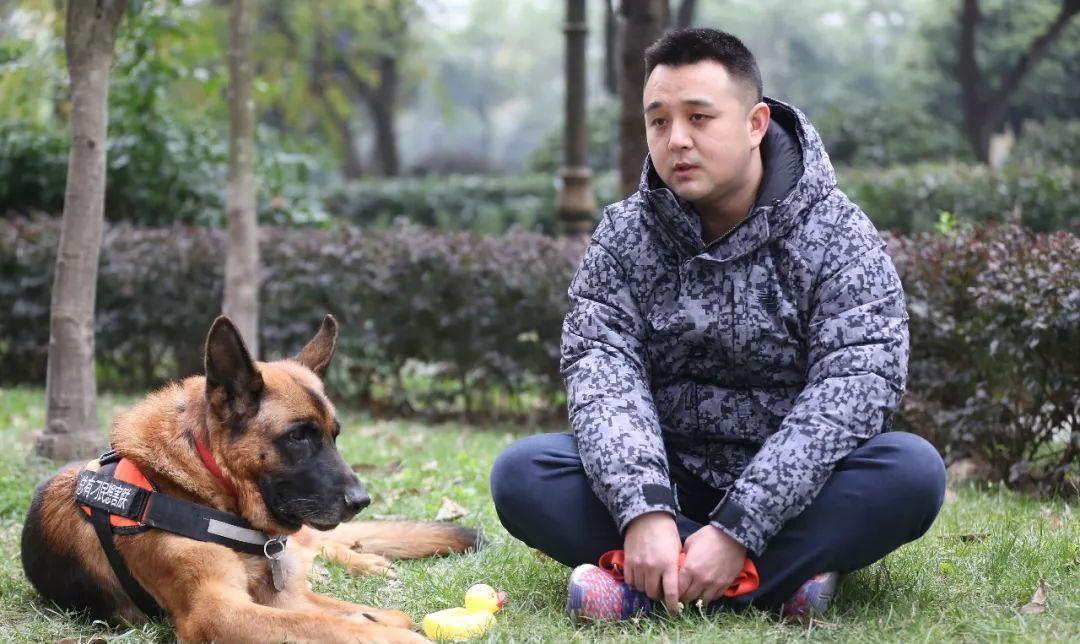 在地震中,连救15人的军犬"沈虎",去世时眼角夹杂着眼泪_沈鹏_救援