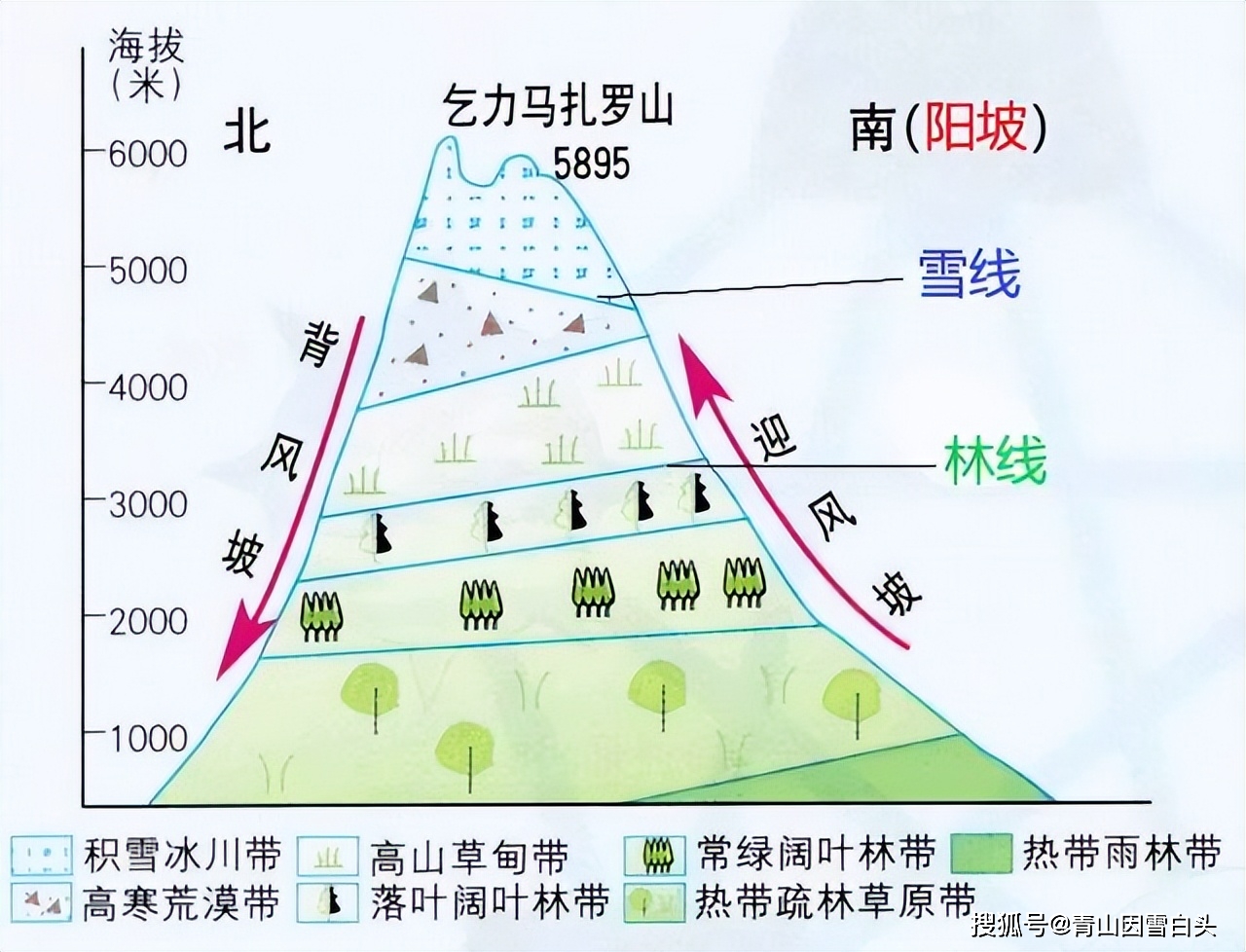 纬度植被类型图图片