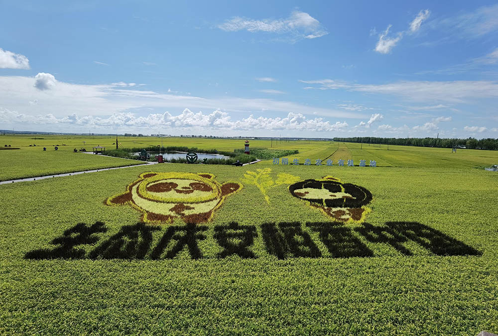 黑龙江庆安县举办云遇中国项目合作启动仪式_大米_全国_刺五加