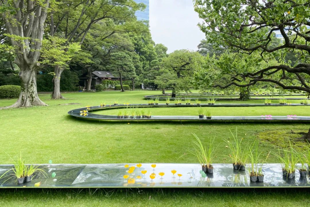 妹岛和世谈新作《水明》:让一湾曲水映照日月星辰_装置_庭园_kazuyo