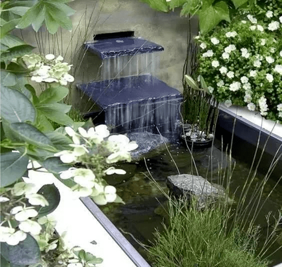 庭院水景巧用水生植物