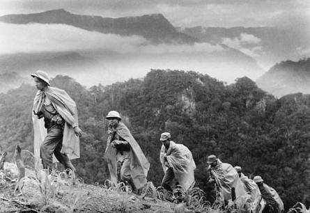 远征军奇特一战：二百官兵藏在一棵巨树上，与日军周旋四十三天！
