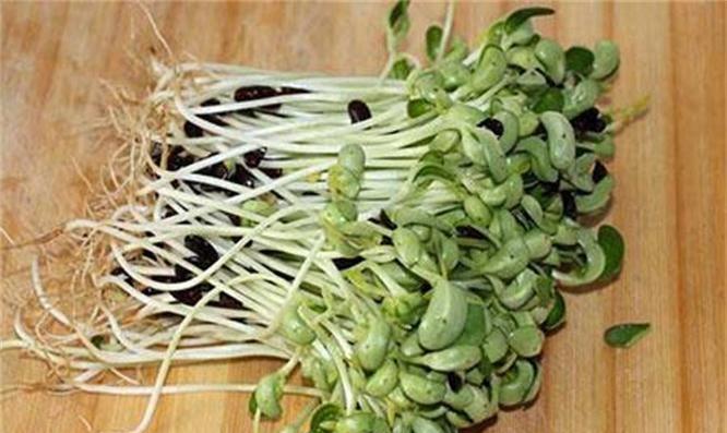 女性过了40岁常吃3种食物 净化血液 排出毒素 增强抵抗力 身体 生活 含锌量