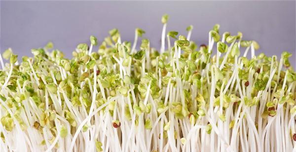 女性减肥 平时可常吃以下食物 排毒养颜 润肤美白 还好吃 养生 杨桃 皮肤