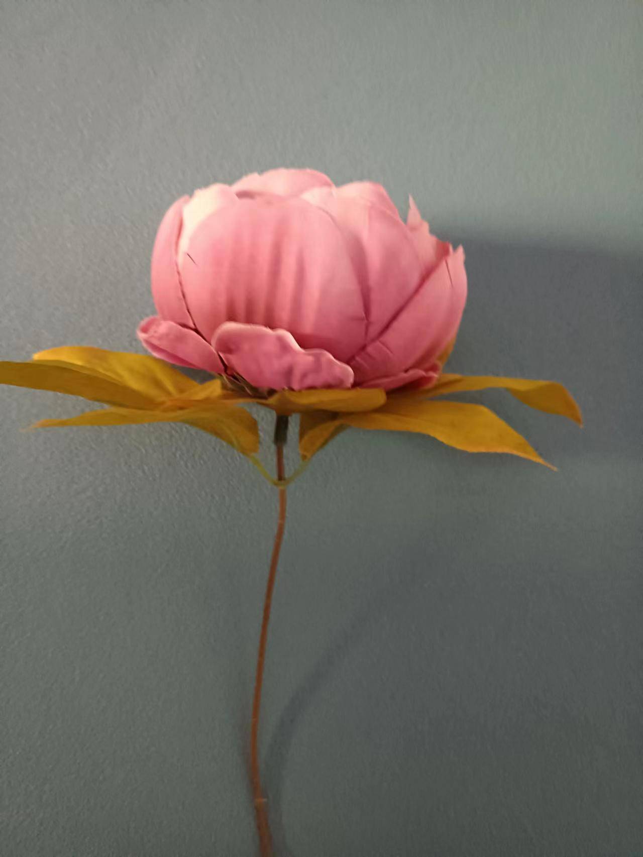 猪 羊 牛明天8月19日到年底好运势飙升 得财得势3生肖 钞票 横财 属鸡