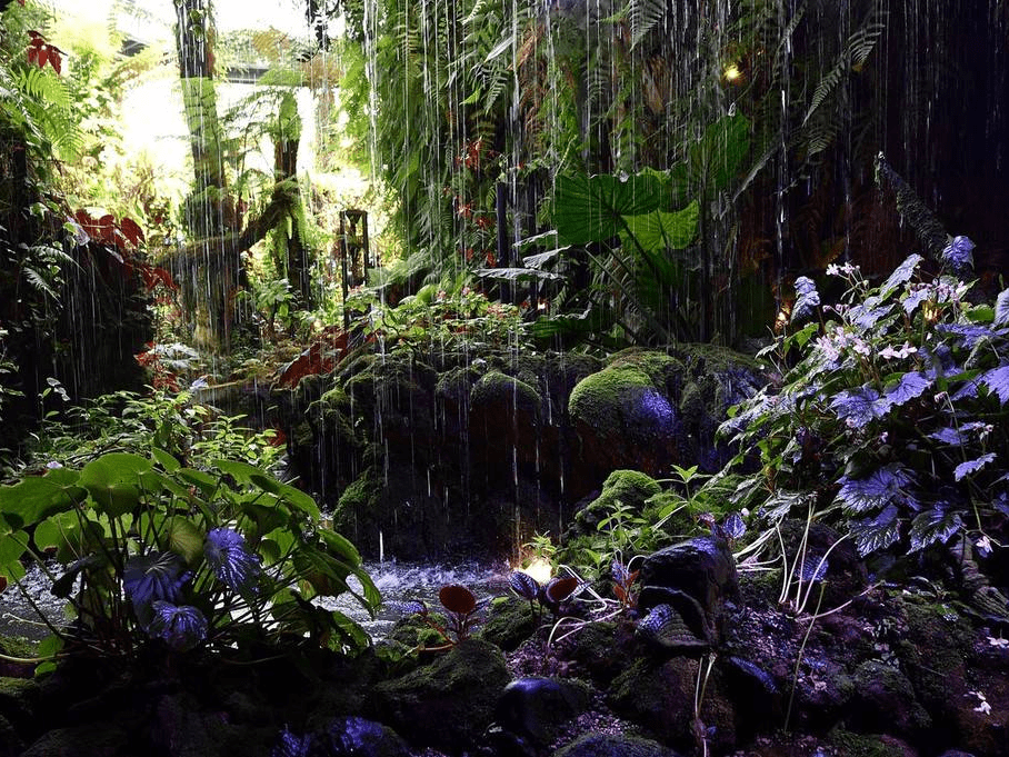 新加坡滨海湾花园 植物生机勃勃-搜狐大视野-搜狐新闻