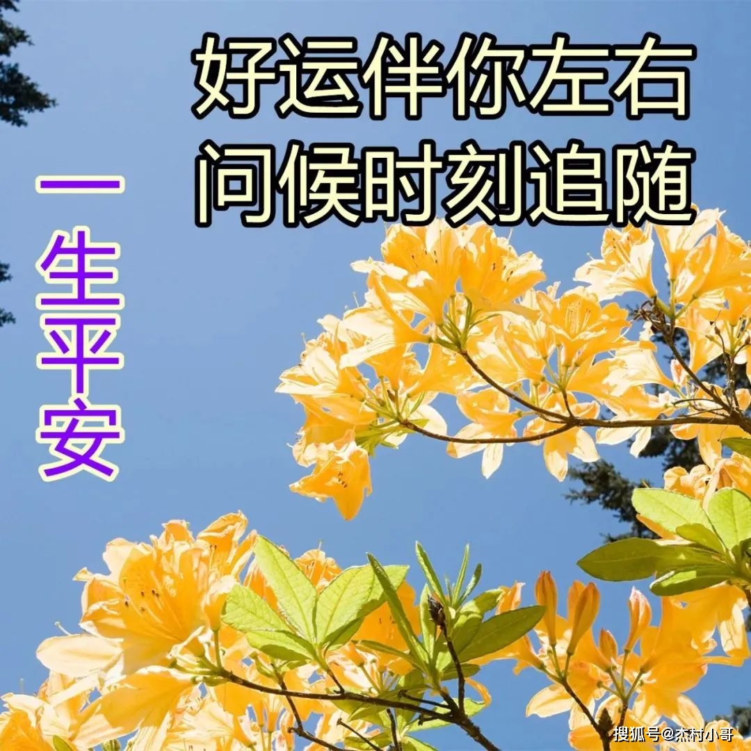 分享到朋友圈的早上好漂亮图片带字 暖心的早上好祝福说说心情_问候