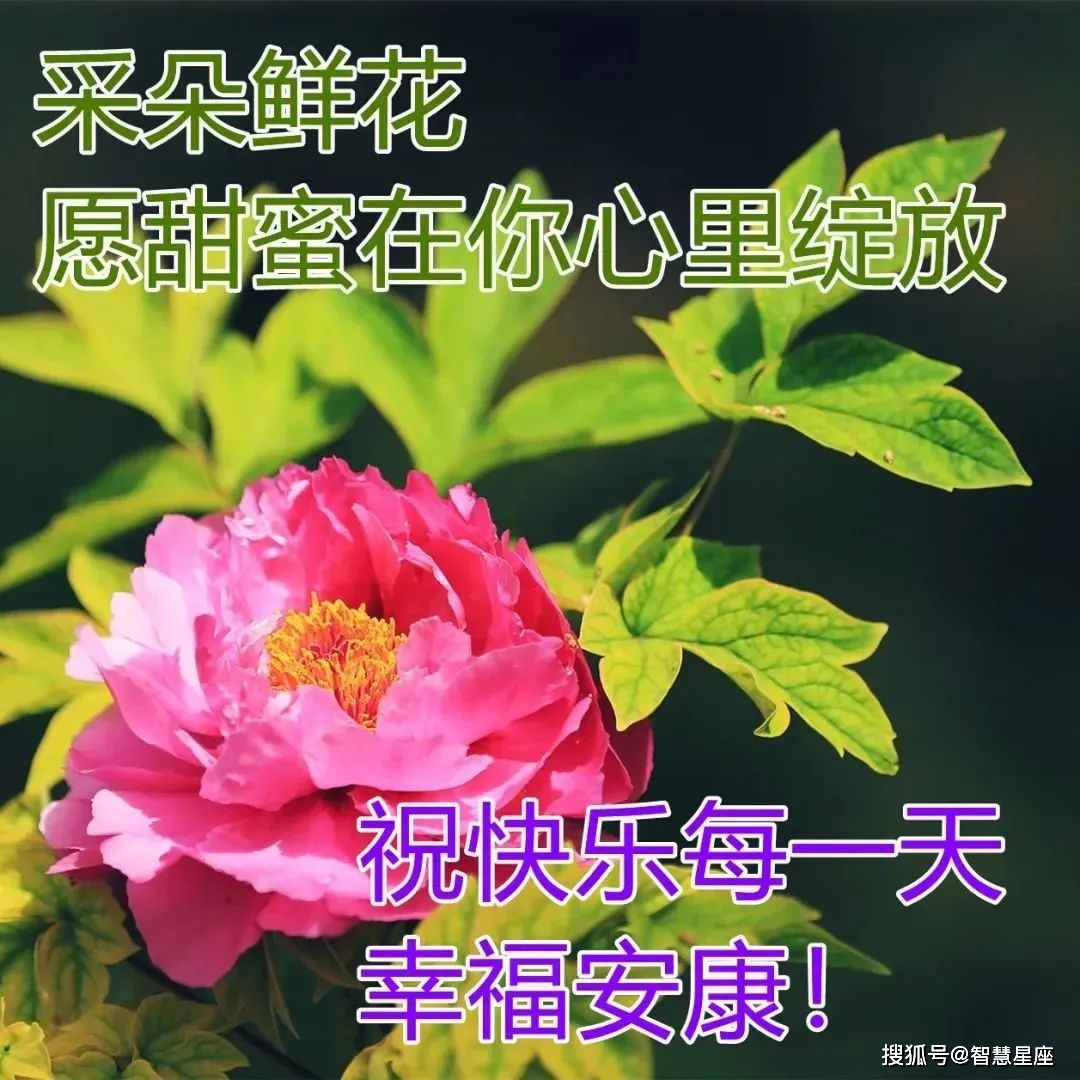 早上好唯美動態祝福圖片帶字 早晨微信問候動畫表情圖片_星期六_朋友