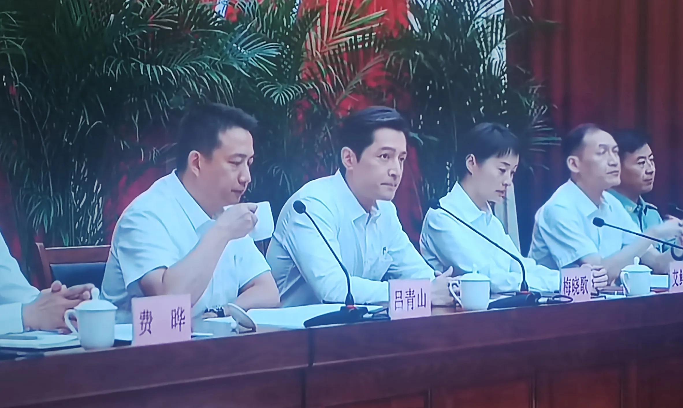 黄磊剧中的演技无人能比,既便红如胡歌,在他面前也显得羸弱_县委书记