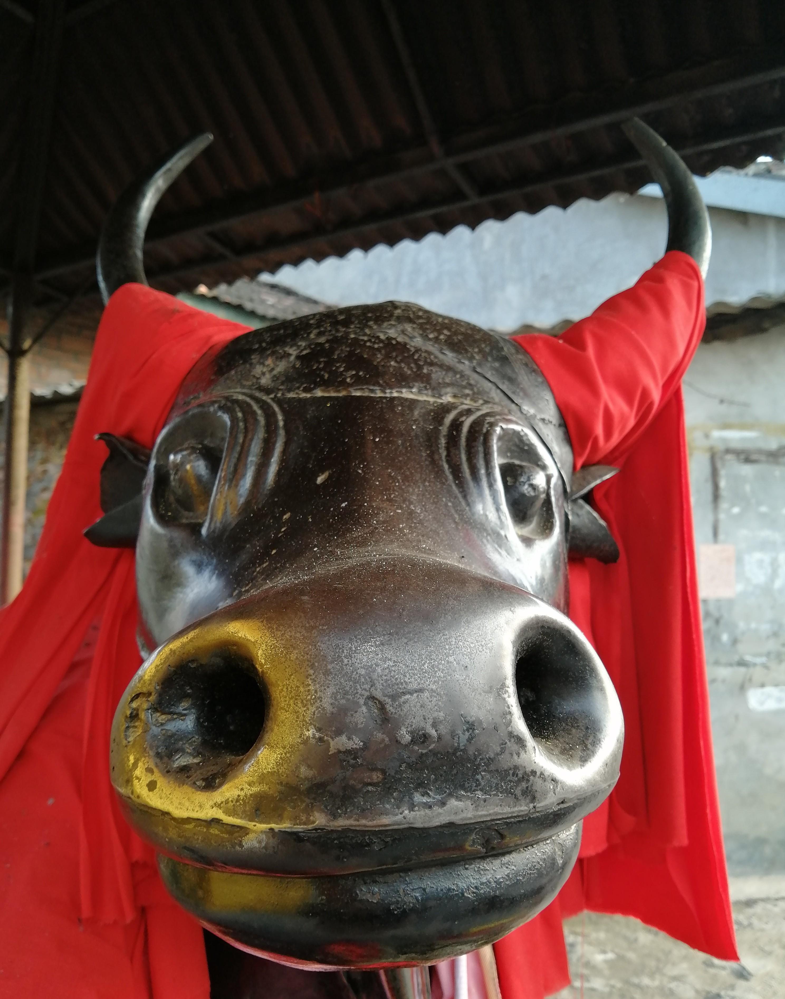 牧马河边,镇水铁牛的香火很旺,老大妈做的这事太丢人_西乡县_旅游