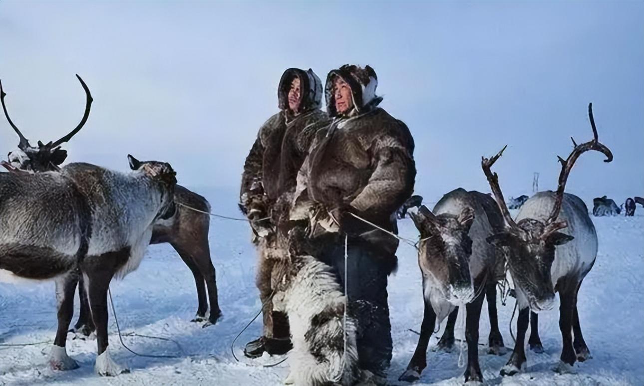 零下70度速冻气温,西伯利亚人怎么生活?