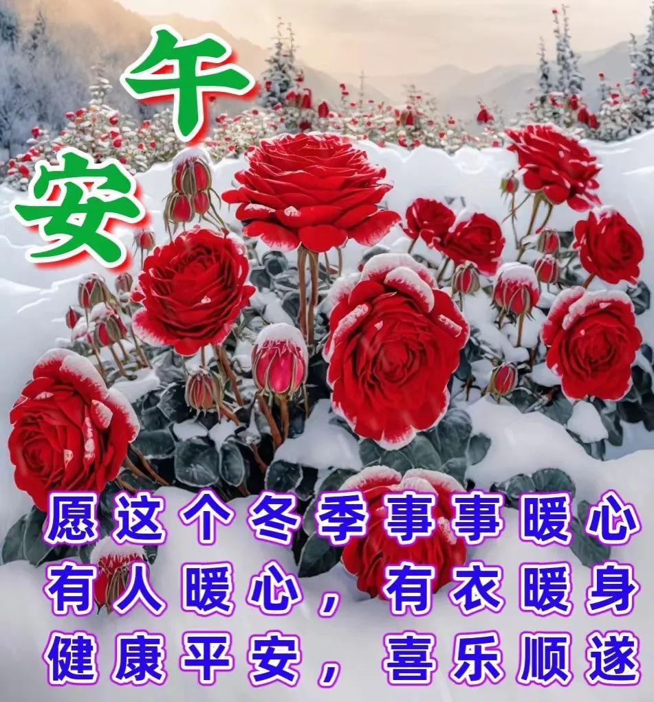 12月27日周二早上好,愿我们都平安,健康,快乐,祥和_祝福_生活_问候