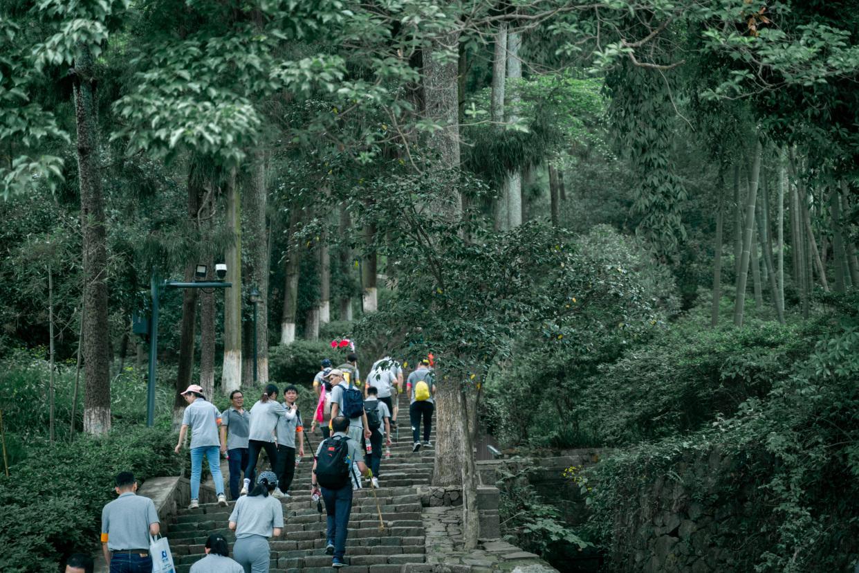 途徑劍池,滴翠亭,蘆花蕩公園等景點,休閒賞景兩不誤.