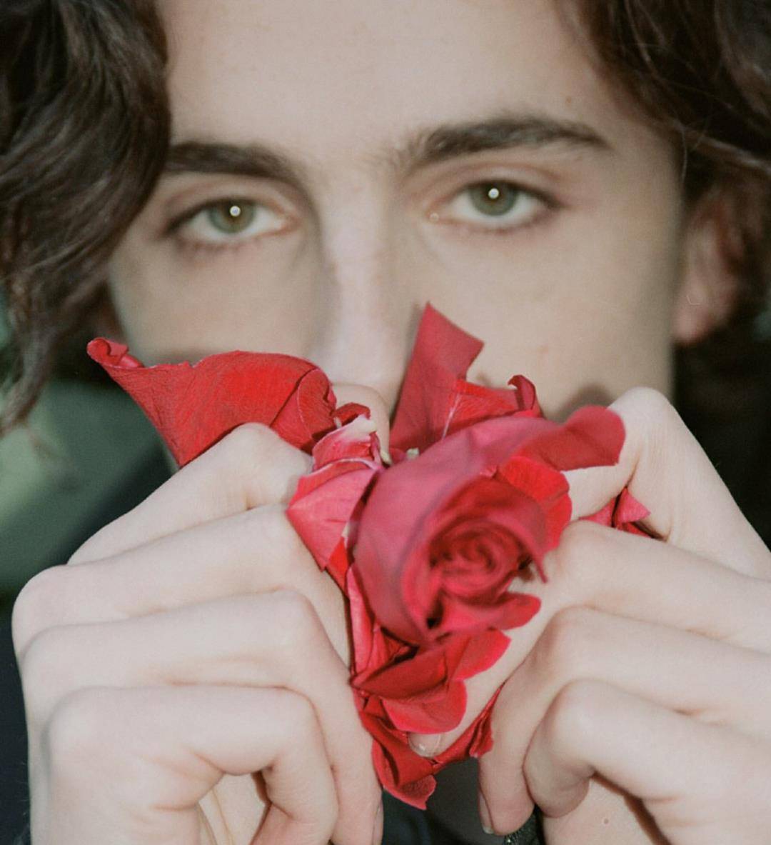 和乔布斯女儿约会,一年换三个女友:我不想努力了_甜茶_insdaily-_your