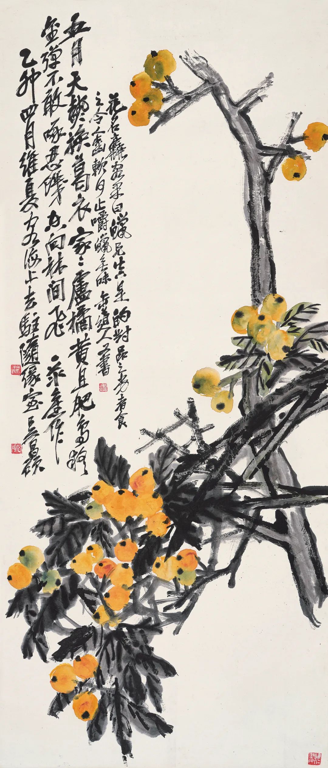 吴昌硕 枇杷立轴 设色纸本 1915年作132×56 cm