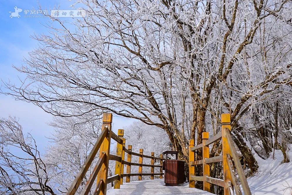 观看龙头山雪景图片