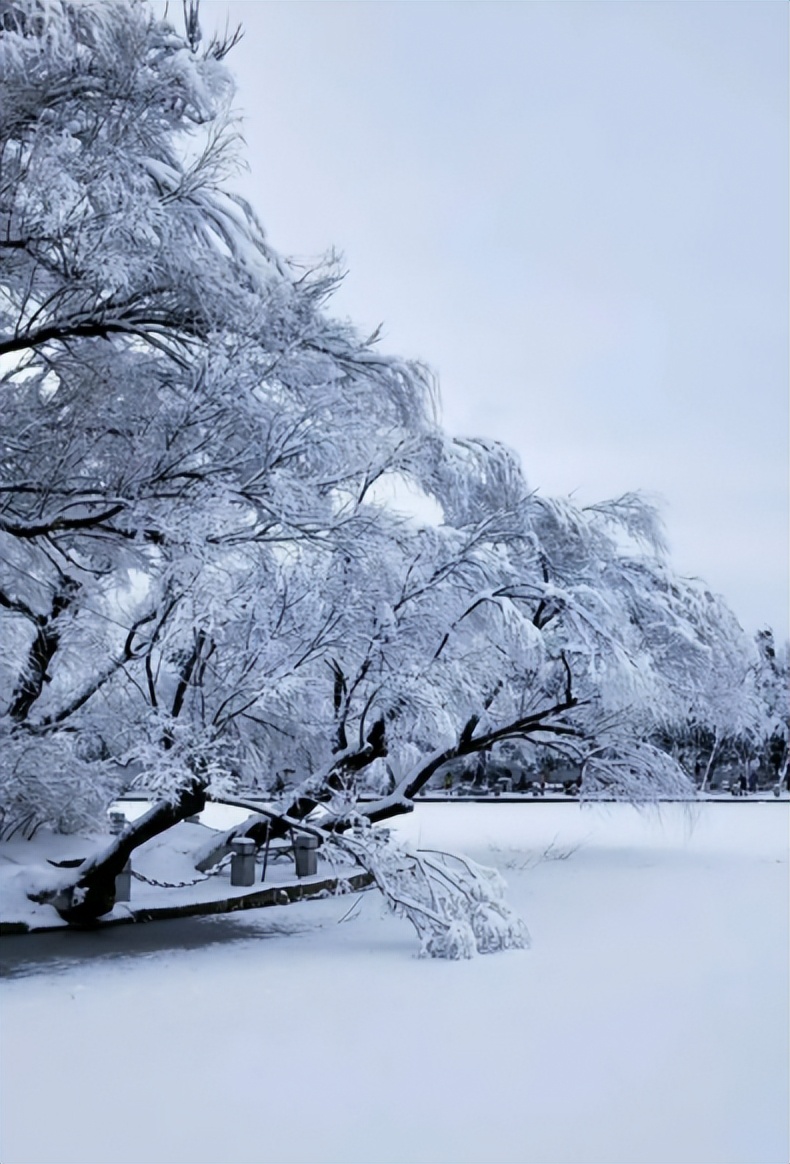 【原创诗词】周嗣远 瑞雪兆丰年,心中起豪情(诗词十四首)_黔南州