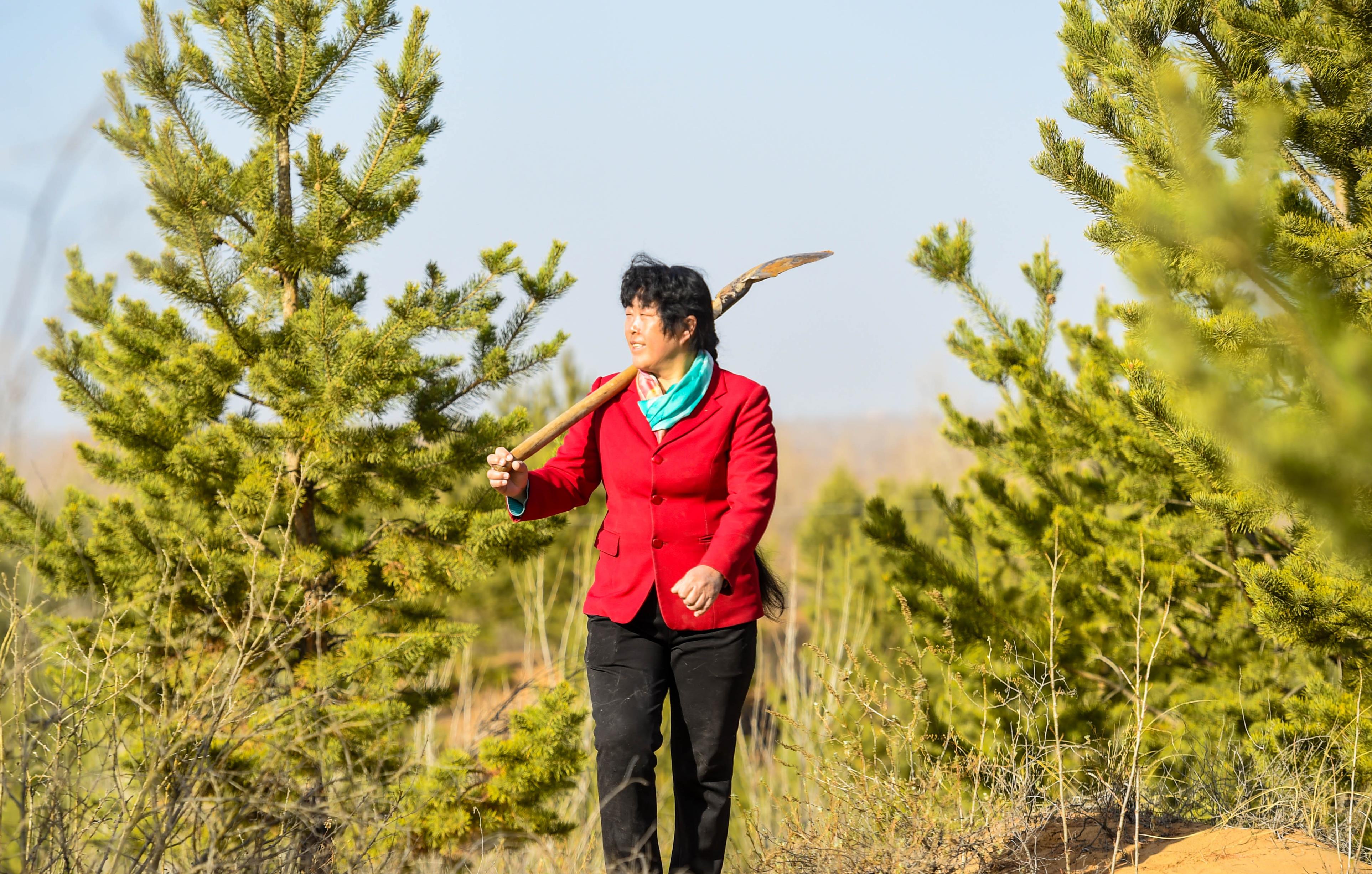 1985年陕西女孩嫁到沙漠住地窖,大哭7天不认命,15年后享誉世界_殷玉珍