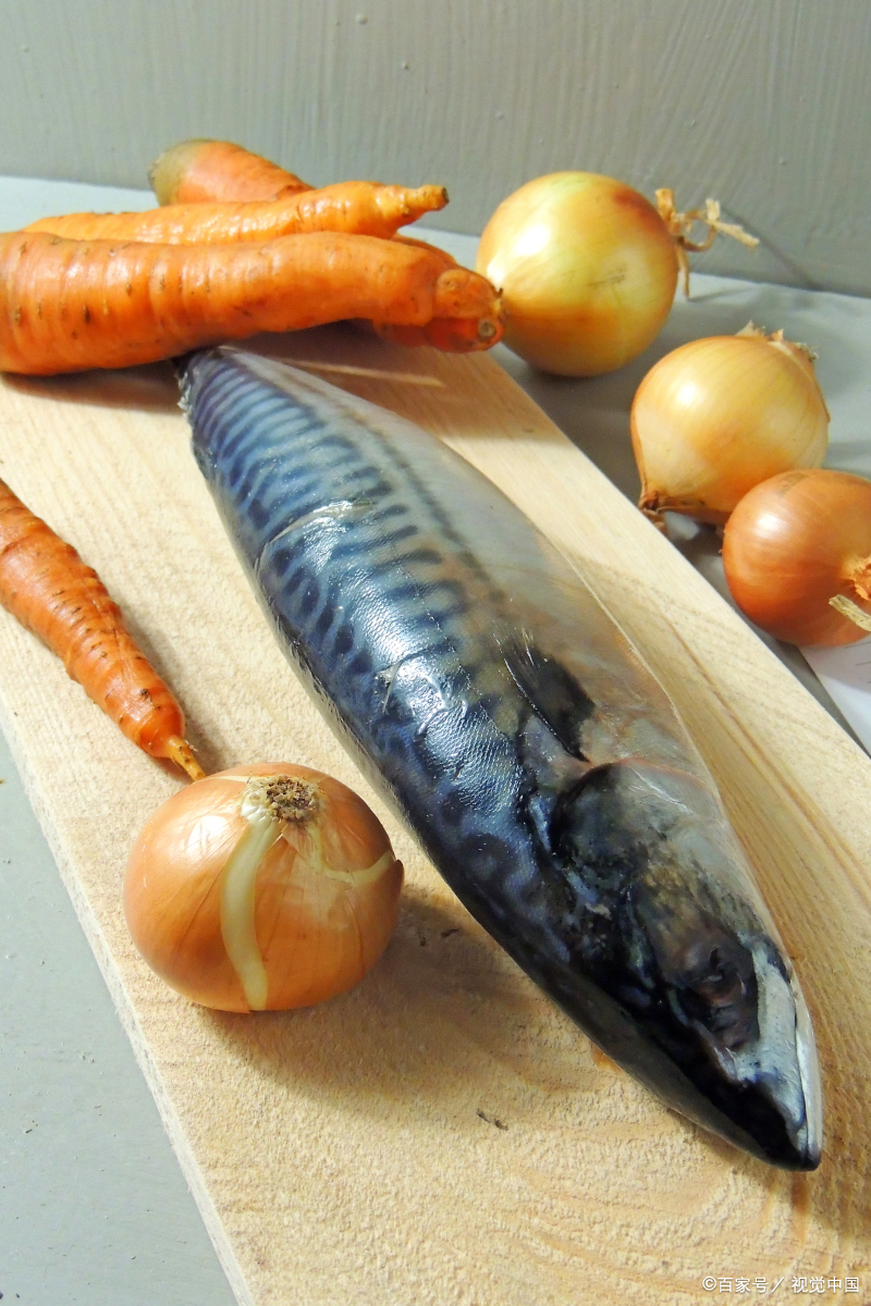「威海运都」☆鲅鱼_冷冻_内脏_西红柿