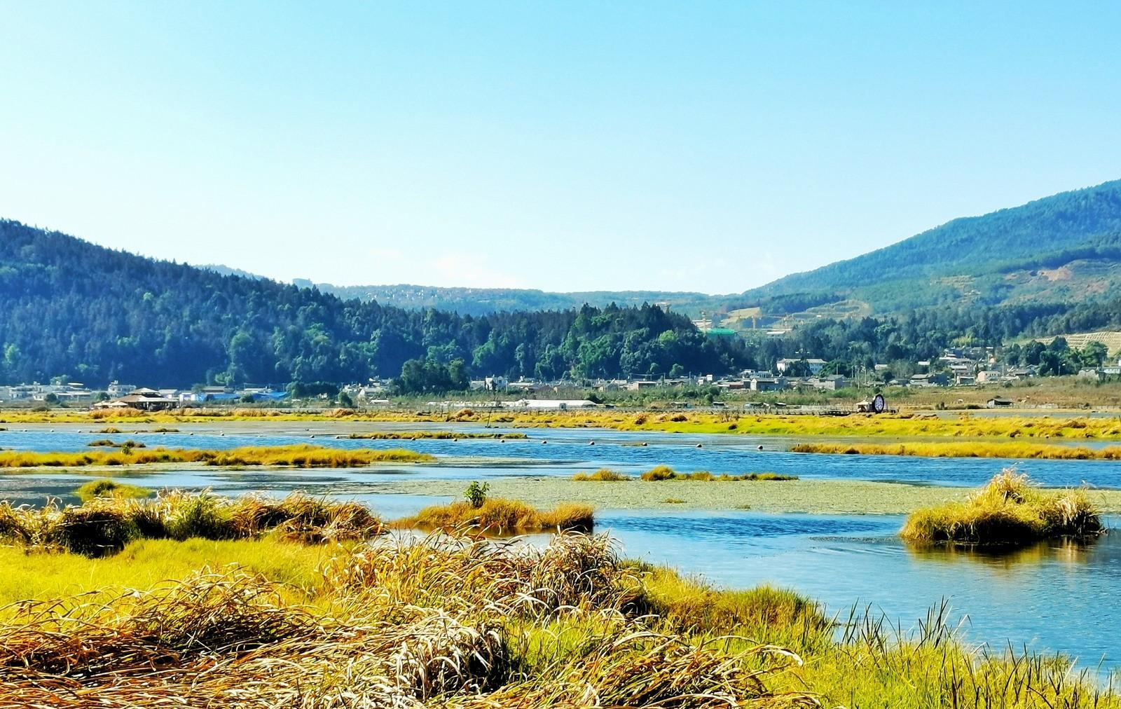 腾冲北海湿地确实奇异，水草根部交织长在一路，浮在水面好像草岛