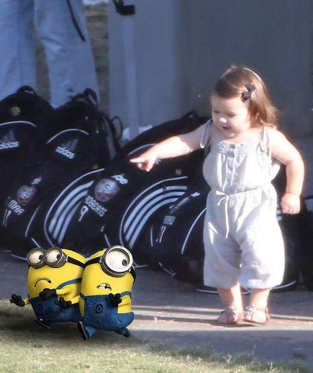 小七的好朋友是小黄人!