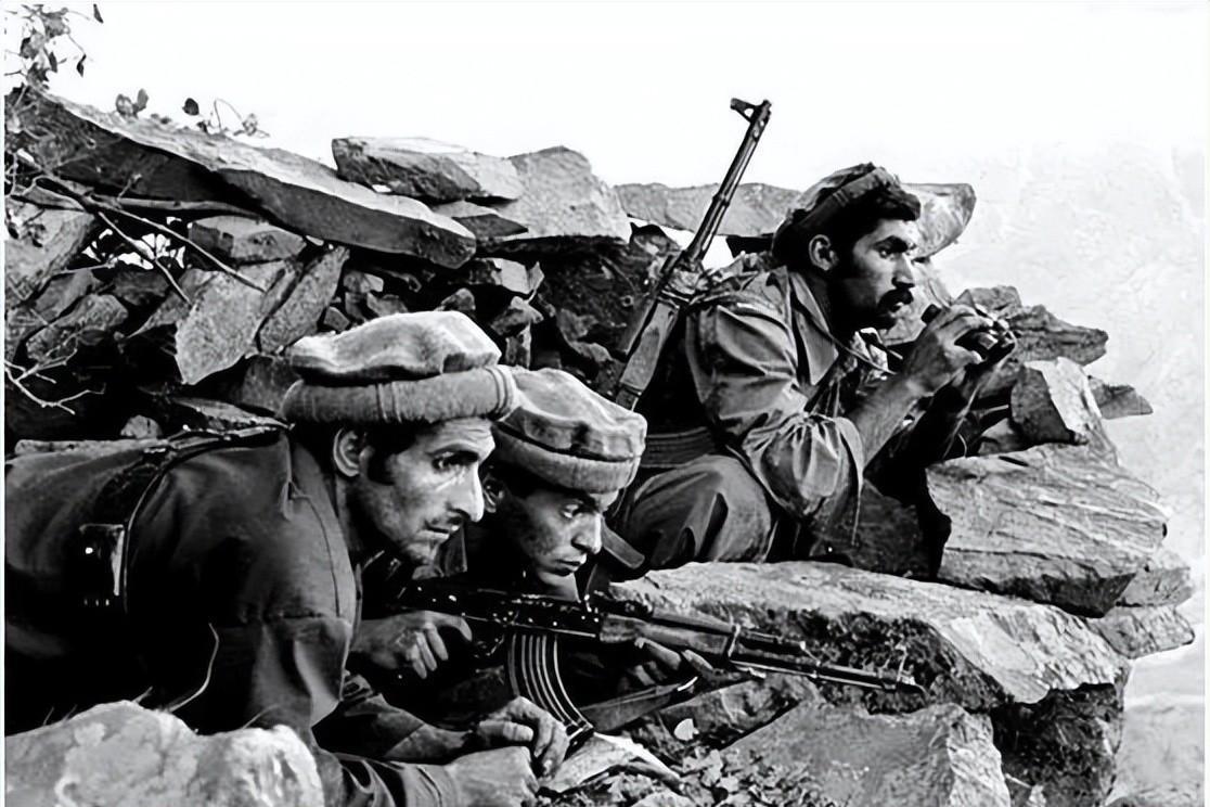 苏联入侵阿富汗,中国意外发笔财,美国买一万多头毛驴送给游击队_国家