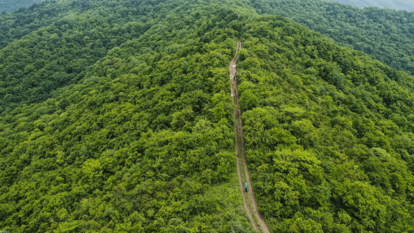 秦始皇當年修的公路,荒廢2000多年,為何至今仍