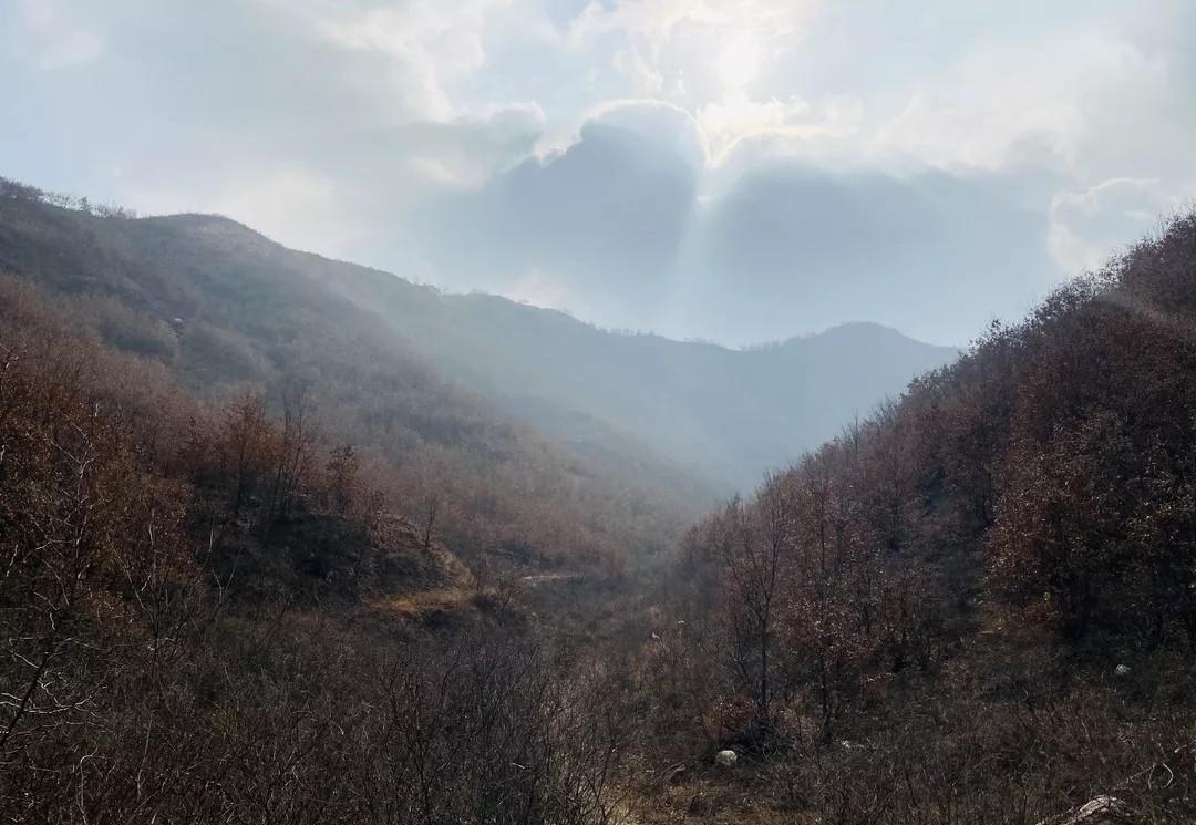 叶县常村乡老青山又名西塘山:八百里伏牛山的第一座高峰_唐山_中原