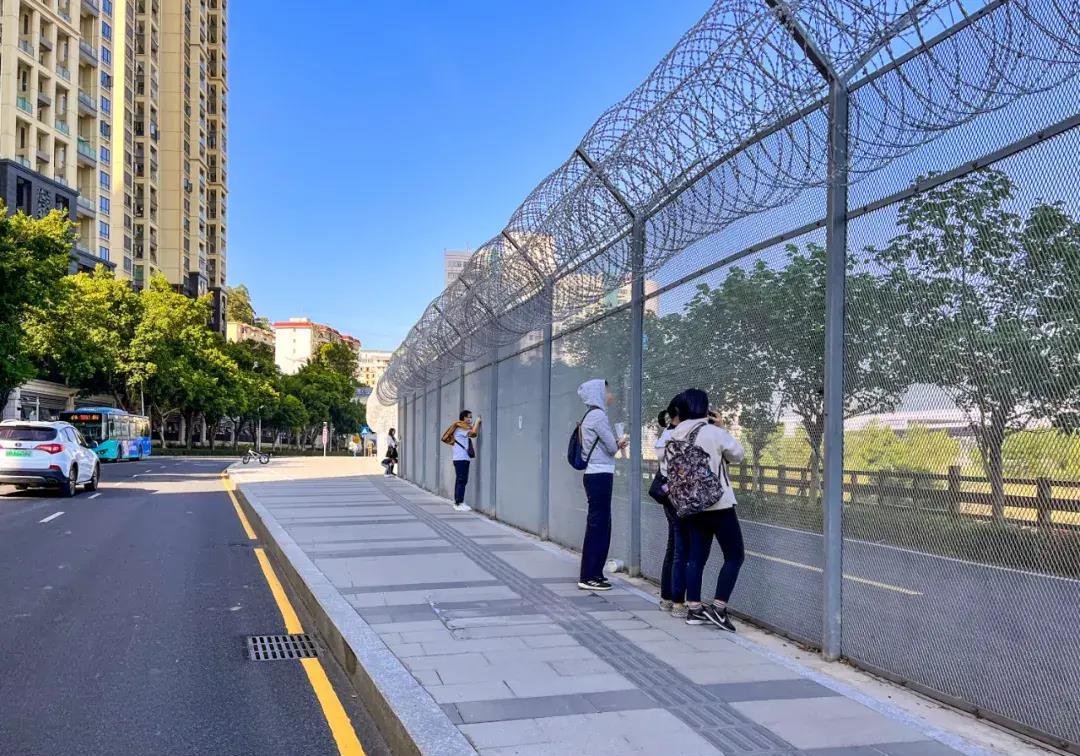 封关600天,他们在深港边境团聚,相隔97米_延芳_香港_铁丝