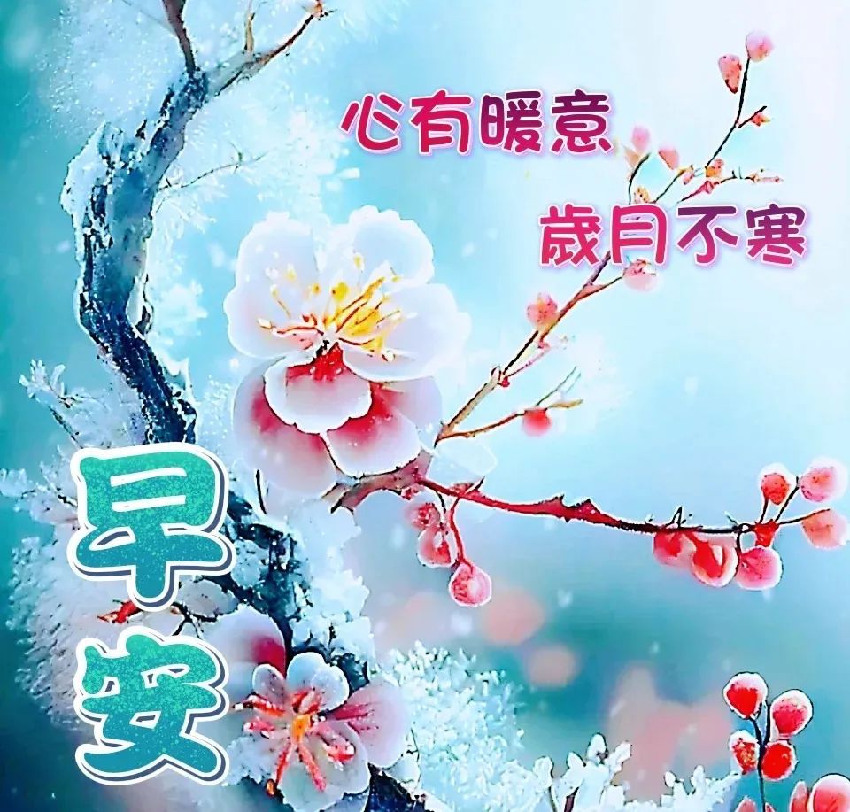 2023年1月7日週六早上好,精選早安溫馨祝福圖片帶字帶早上好語錄_問候