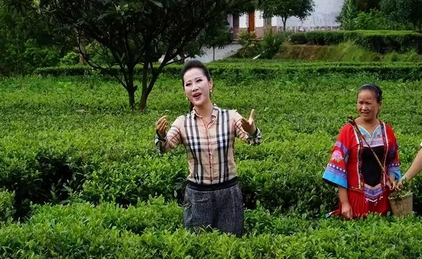 万莉_音乐_民歌