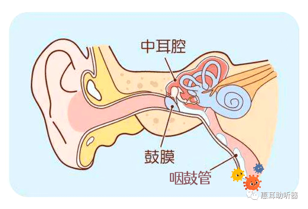 中招