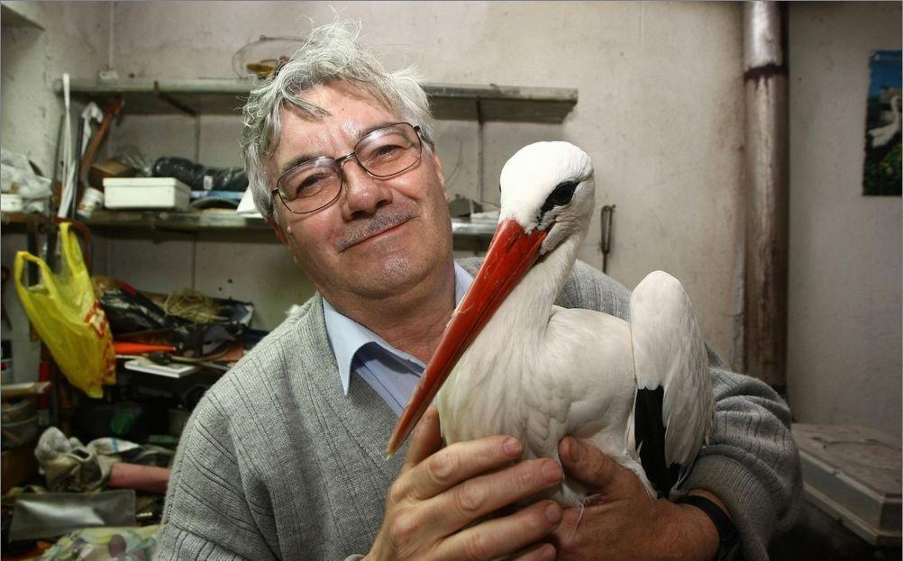 一对白鹳的故事,被誉为21世纪最伟大的爱情,甚至为之完善法律_玛琳娜