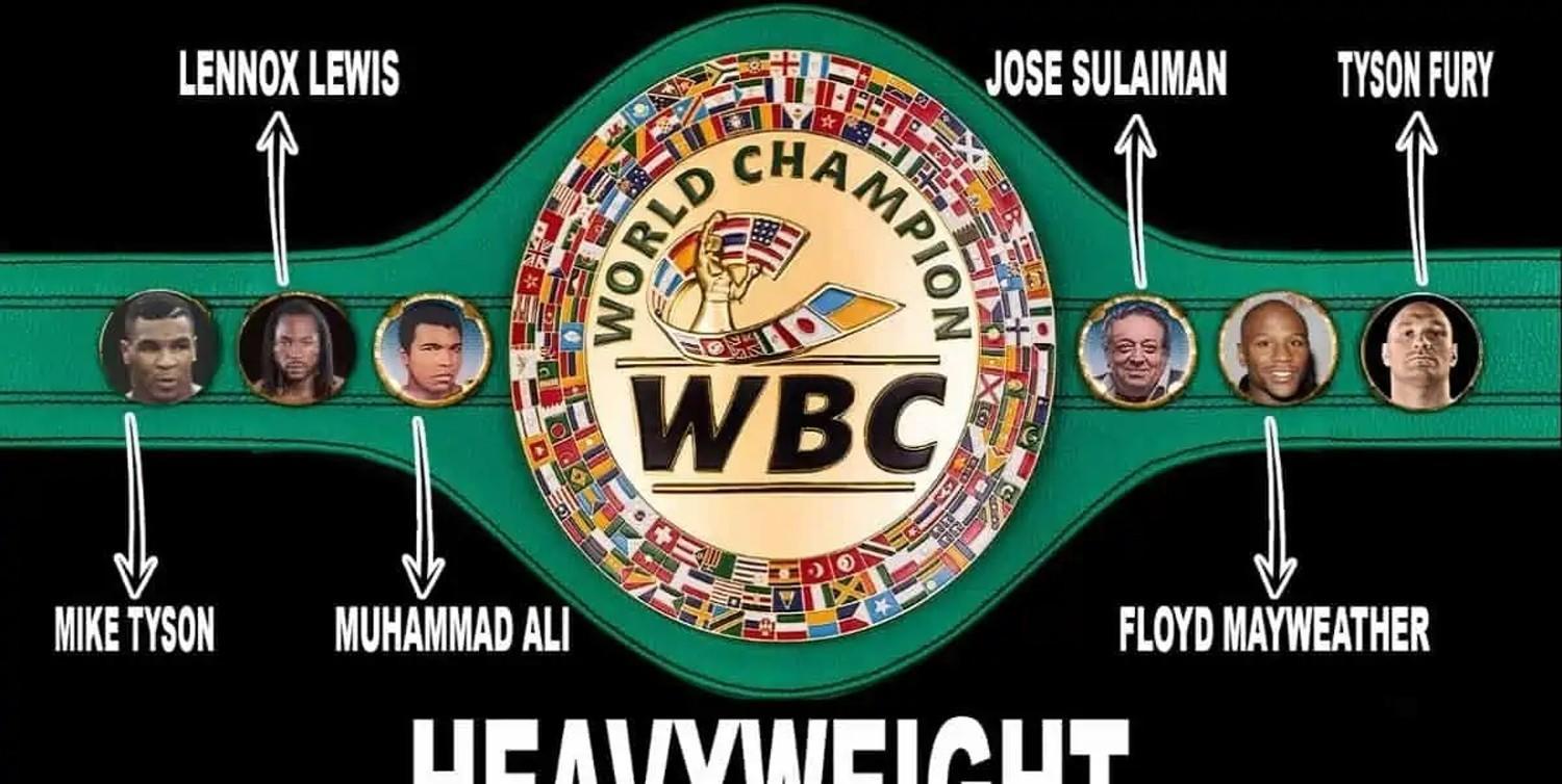 wbc是什么意思 来自搜狐网