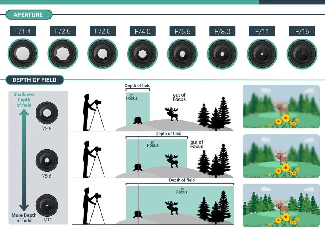 焦距越大景深越小图解图片