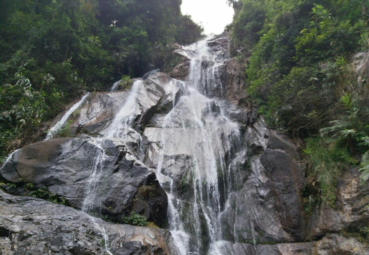 探访南丹山森林王国,观赏茂密森林与飞瀑流泉,体验丛林飞跃