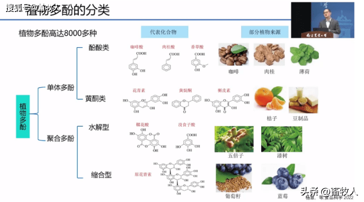 肉桂酸结构简式图片