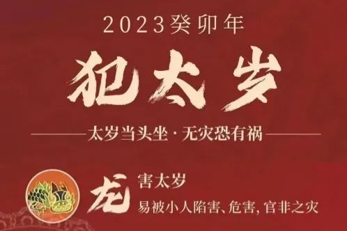 2023年癸卯年,【生肖龍】的運勢_朋友_進行_感情