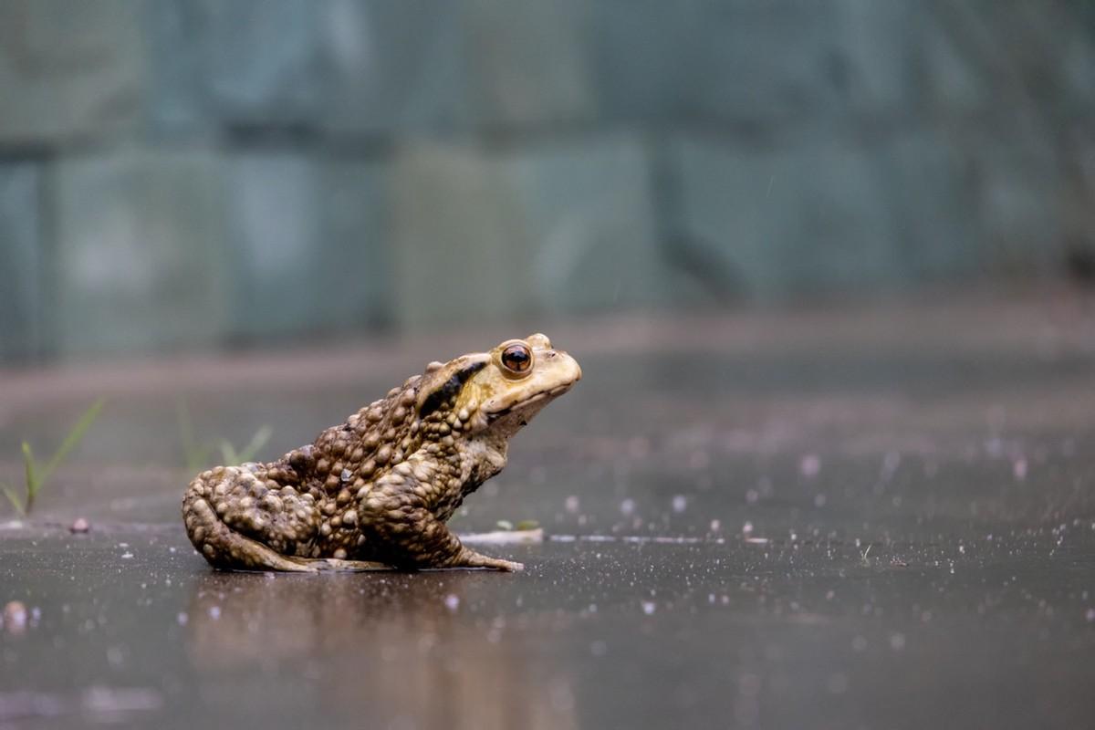 半画幅年度真香机？佳能EOS R7体验测评