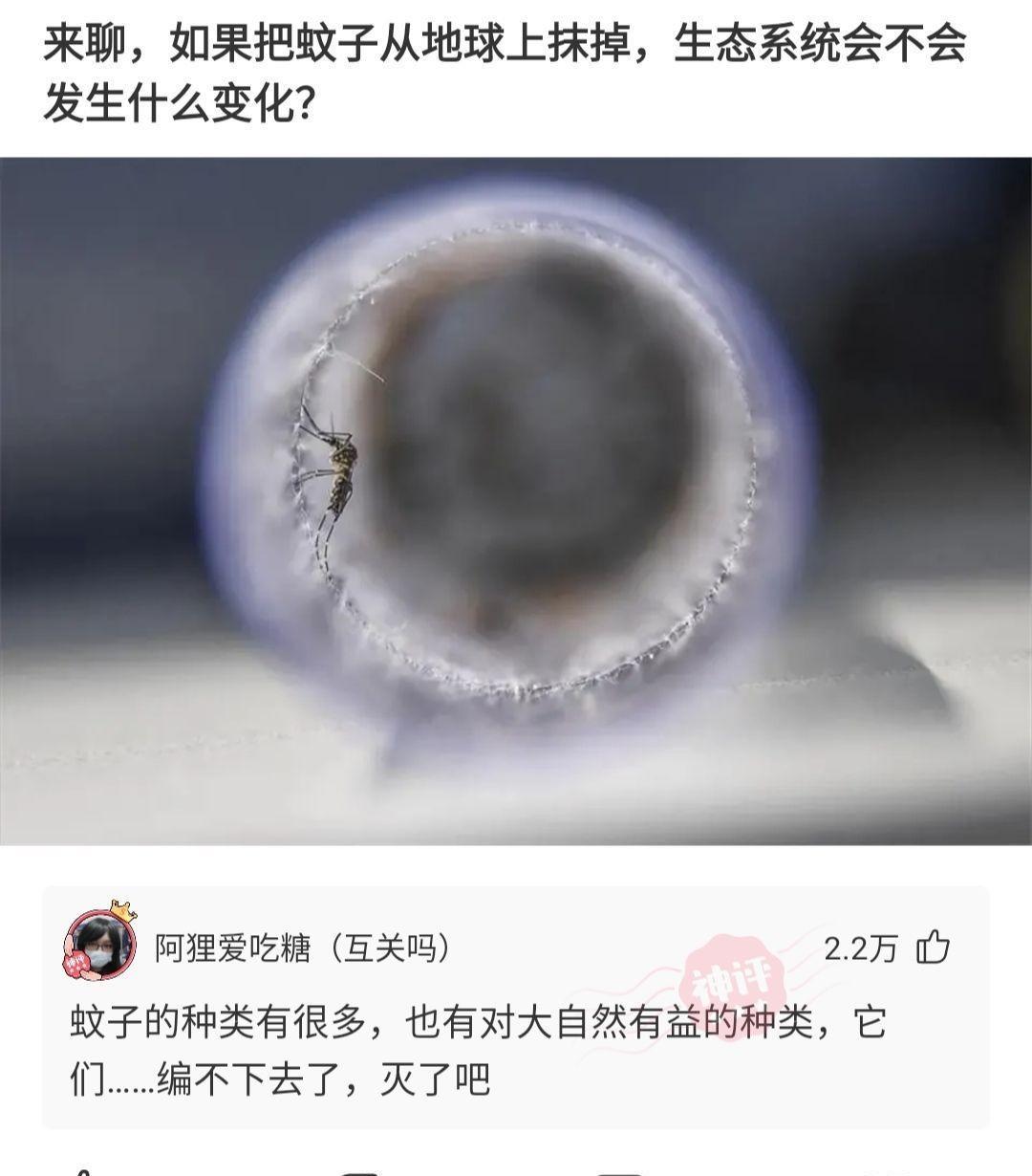 惊讶的天主答复：你若何渡过你的假期，让他们觉得更长？