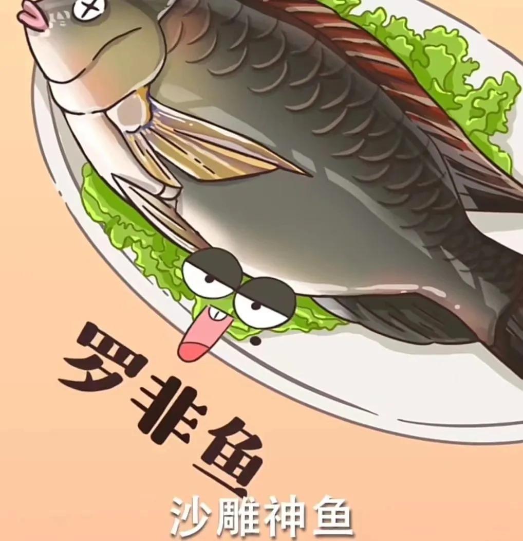 姐姐_罗非鱼_东西