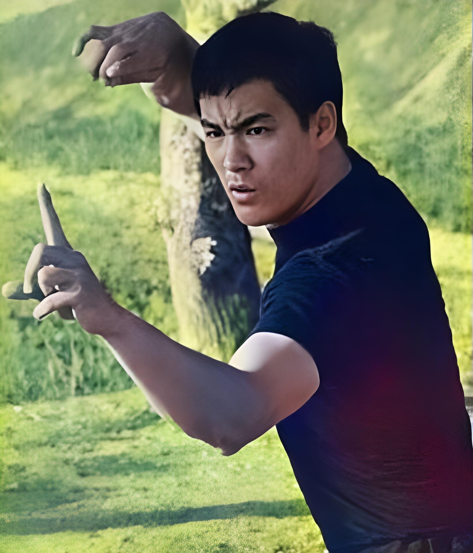 苗可秀:李小龙的寸劲拳很厉害,他说,截拳道是生活之道_壮汉_电影_不