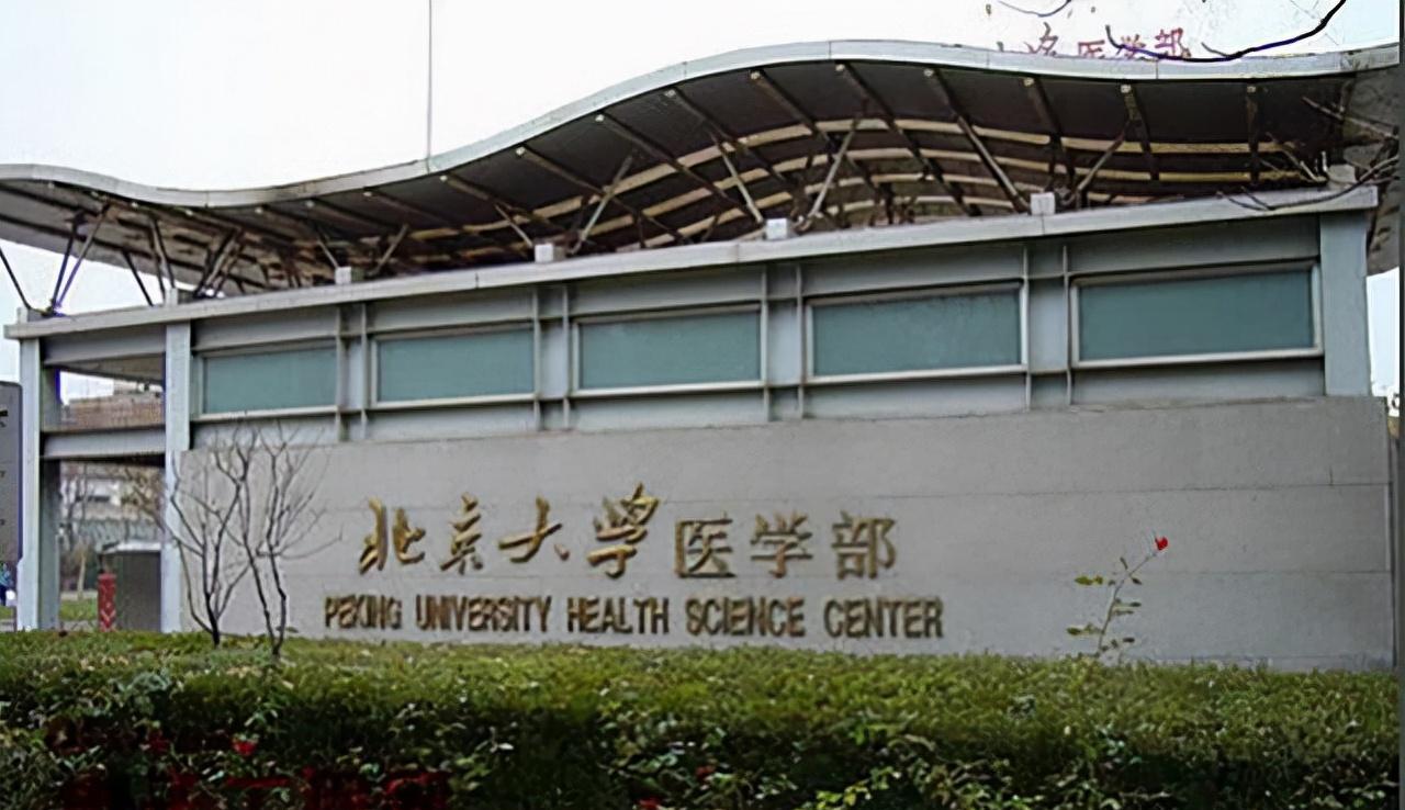 沦为低保户的北大医学博士:中途退学失业19年,到底经历了什么?