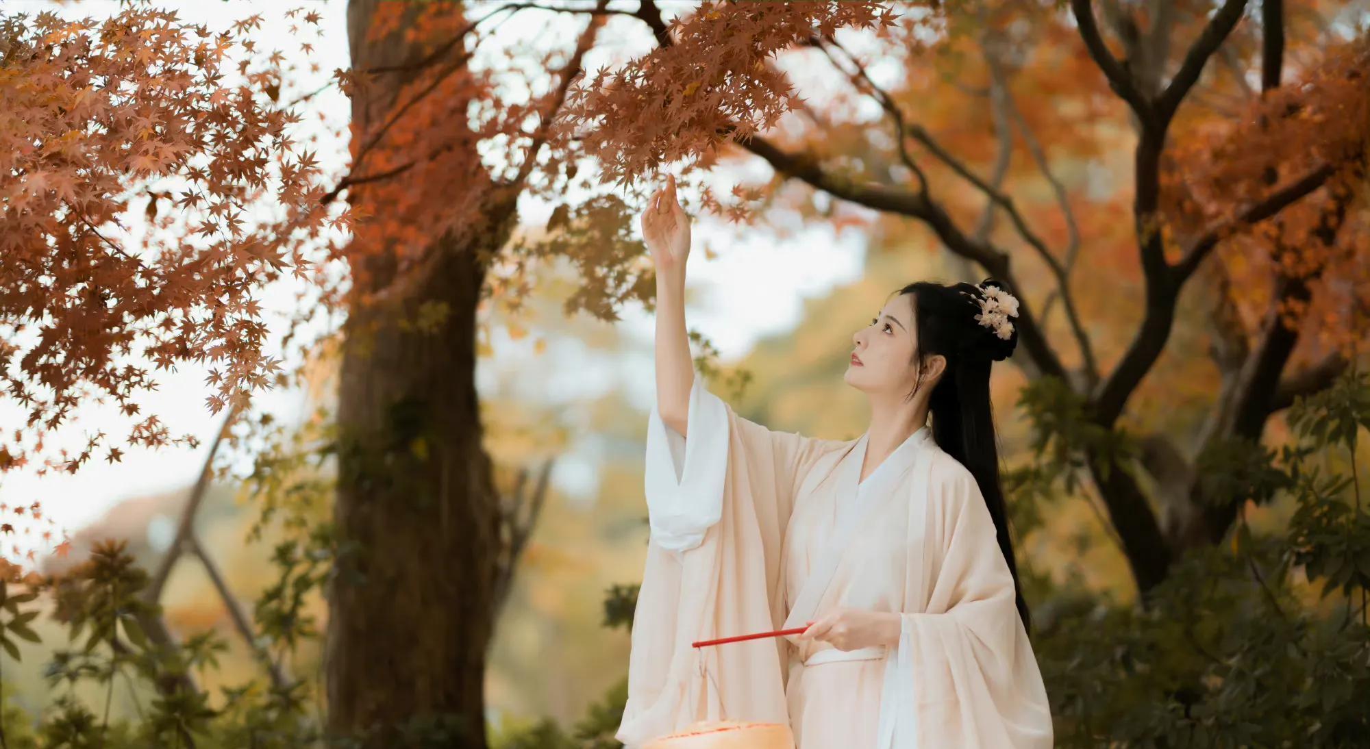 着一袭素纱裙,撑一把玉骨伞的少女来到湖边一棵银杏树下,秋风萧瑟,吹